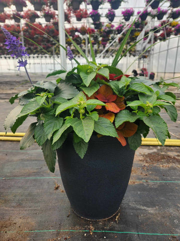 2 beautiful 14" planters for spring 2024