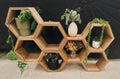 Geometric Wooden Plant Shelf
