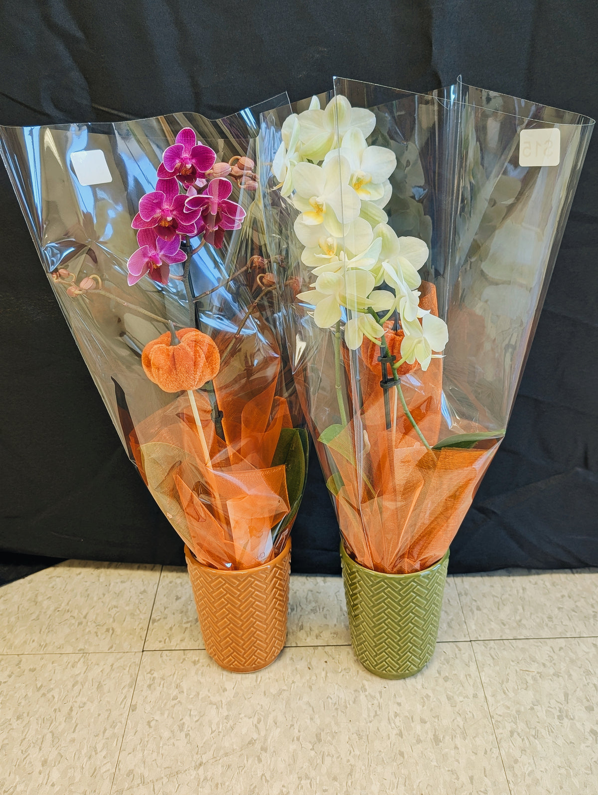 Mini Orchid Pair (dark pink and white)
