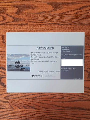 $100 certificate Horseplay Niagara