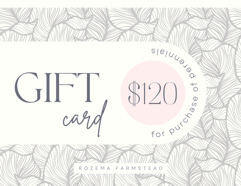 $120 Perennial Gift Card - Rozema Farmstead (1)
