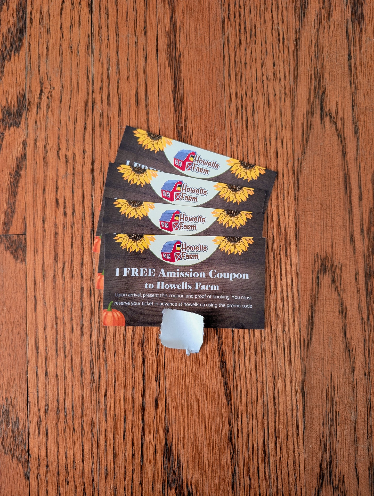 4 Passes - Howells Adventure Farm