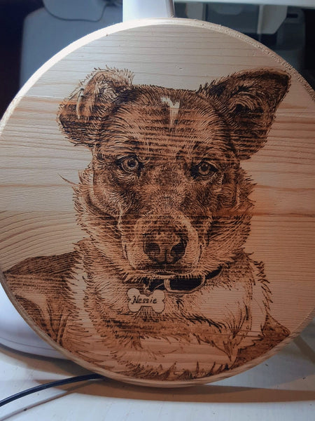 8" round Custom Woodburned Pet Portrait