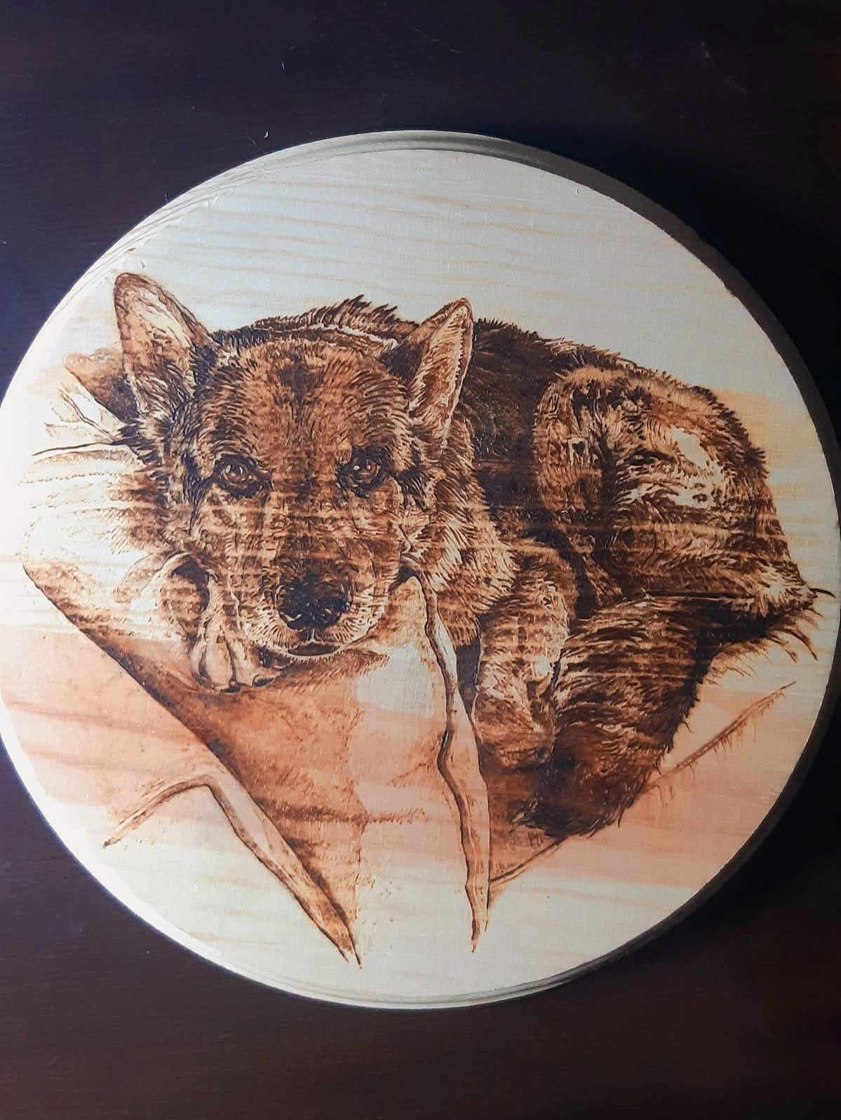 8" round Custom Woodburned Pet Portrait