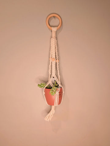 Macrame Plant Hanger & Succulent