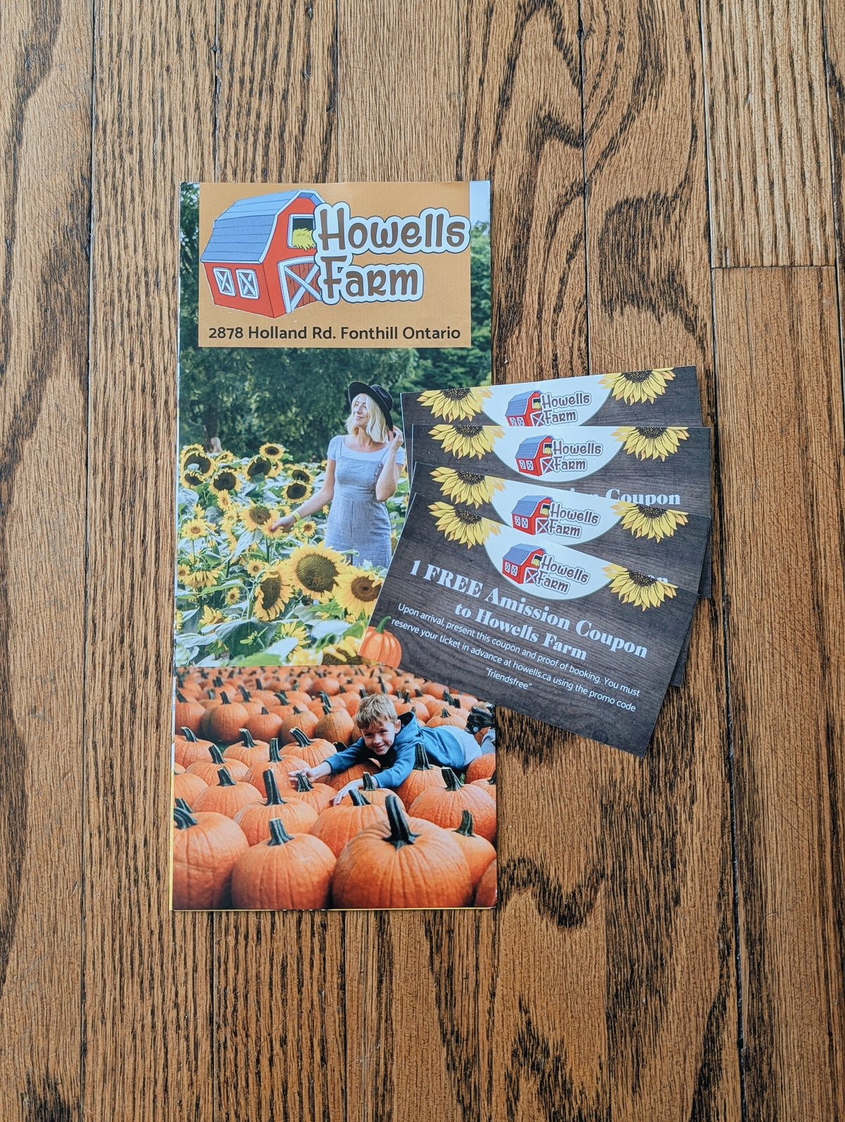 4 Passes - Howells Adventure Farm (1)