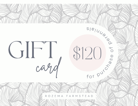 $120 Perennial Gift Card - Rozema Farmstead (2)